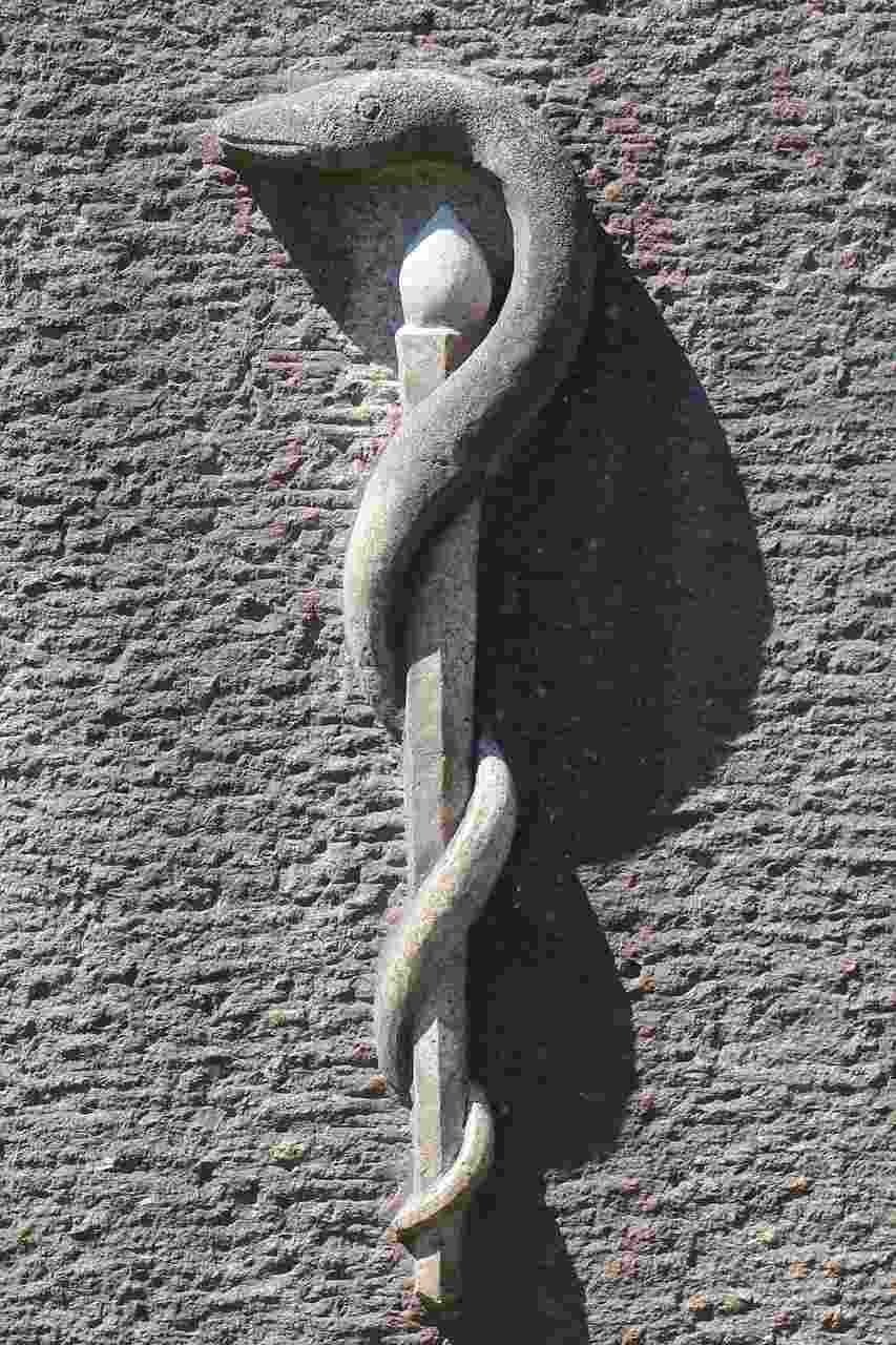 FAQ page image featuring a medical caduceus symbol with a snake wrapped around a staff, representing healthcare finance solutions including Healthcare Factoring, Healthcare Project Finance, Clinic Cash Flow Financing, and Succession Financing for Medical Practices.